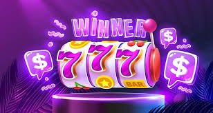 Sports betting and slots entertainment overview on the ACF444 platform